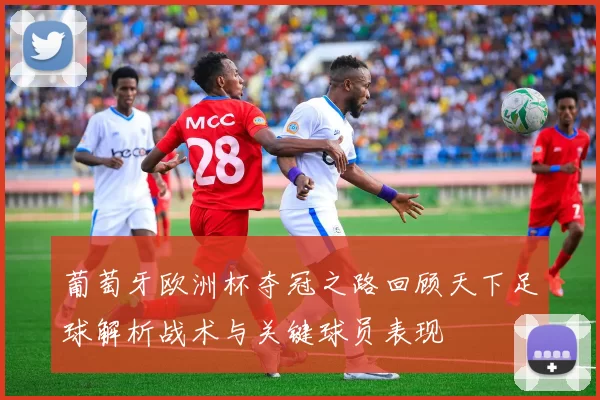葡萄牙欧洲杯夺冠之路回顾天下足球解析战术与关键球员表现