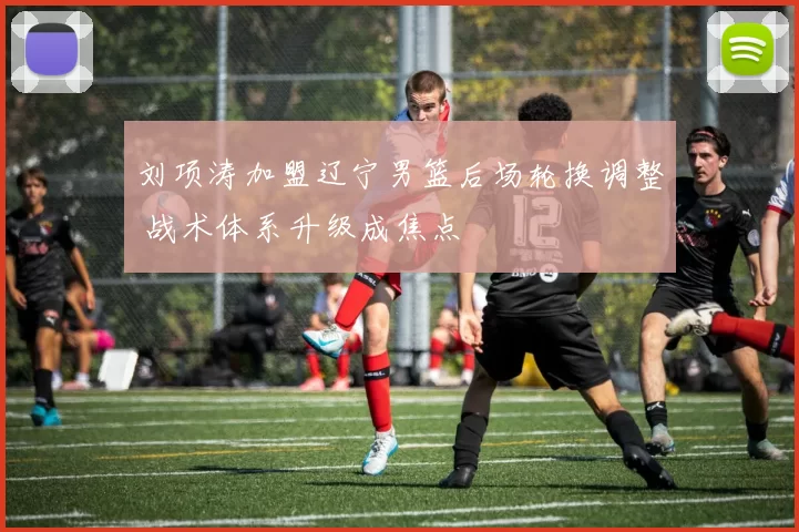 刘项涛加盟辽宁男篮后场轮换调整 战术体系升级成焦点